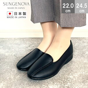 TWFmo JWAV[Y pvX y ~ZXRtH[gV[Y tbg ɂȂ O 3E { JΉ ̓ hV̓ SUNGENOVA HD3401