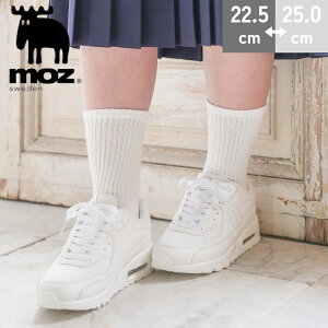 yNc̓IȃN[|×P2{×P2{Iz moz Y Xj[J[ fB[X XN[Xj[J[ ʊw  w Z y y  EH[LO jO GA[   mz513