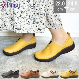 y}\Xg26HI10OFFN[|×P4{Iz Pansy pW[ Xb| V[Y 2way C T_ fB[X 4E L y R hL   U[ ₷ ₷ ps15