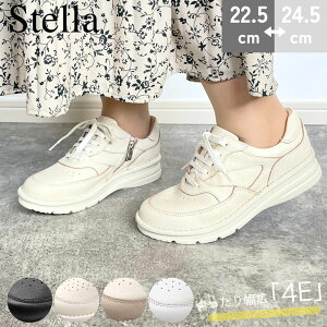 y}\IȃN[|×P2{IPő47{Iz Stella Xe U[ Xj[J[ TChWbv [XAbv 4E O  {v VRv `bN R RtH[g JW