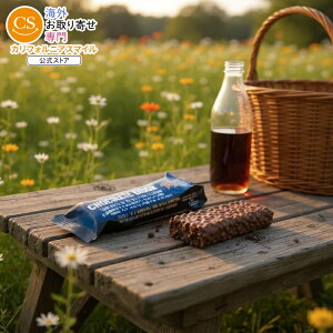 【全品対象・常時2個300円・3個800円・4個1000円OFFクーポン】ベアベル プロテインバー チョコレートドウ 12本入り Barebells Protein Bar Chocolate Dough (12) 【お取り寄せ商品】【合わせて買いたい】