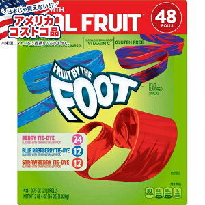 ySiΏہE펞2300~E3800~E41000~OFFN[|zyAJRXgRizt[c oC U tbgAoGeB 21g 48  Fruit By The Foot, Variety, 0.75 oz, 48-count y񂹏i