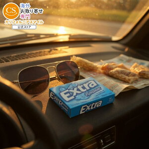 yő1000~OFFN[|zyAJRXgRizGNXg yp[~g K VK[t[ XpbN 15 XeBbN 10  Extra Peppermint Gum Sugar Free, Slim Pack, 15 Sticks, 10-county