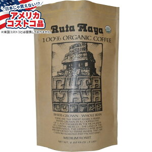 yő1000~OFFN[|zyAJRXgRiz^ } I[KjbN ~fBA [Xg z[r[ R[q[ 5 |h Ruta Maya Organic Medium Roast Whole Bean Coffee 5 lby񂹏izy