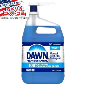 ySiΏہE펞2300~E3800~E41000~OFFN[|zyAJRXgRizh[ vtFbViHp IWi 1 K Dawn Professional Dish Detergent, Original, 1 galy