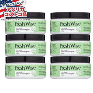 ySiΏہE펞2300~E3800~E41000~OFFN[|zyAJRXgRiztbVEF[u LWF IWi 198g 6 Fresh Wave Odor Removing Gel, Original, 7 oz, 6-county