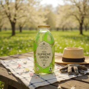 ySiΏہE펞2300~E3800~E41000~OFFN[|z[12Zbg]nj[AhTY I[KjbN Vv[ O[ ACXheB[ Harney & Sons Tea Green Supreme 16FO y񂹏