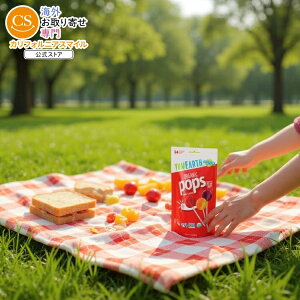 ySiΏہE펞2300~E3800~E41000~OFFN[|z[6Zbg]A[X I[KjbNA\[g|bv 87g(3.1 oz) Yumearth Lolli Pop 14Ct Org y񂹏izy킹Ĕz