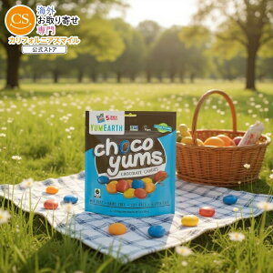 ySiΏہE펞2300~E3800~E41000~OFFN[|z[12Zbg] A[X `RX `R[g 99.2g(3.5 oz) Yumearth Choco Yums 5Pc Sup y񂹏izy킹Ĕz