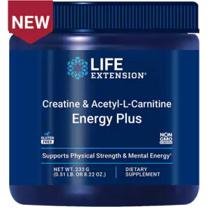 CtGNXeV NA`AZ`L-Jj` GiW[vX Life Extension Creatine & Acetyl-L-Carnitine Energy Plus 0.51 lby񂹏izy킹Ĕz
