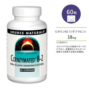 \[Xi`Y RGUCCebh B-2 g[` 60 Source Naturals Coenzymated B-2 60 Lozenges r^~B2 {tr [Wy񂹏izy킹Ĕz
