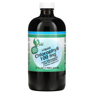 [hI[KjNX NtB t 100mg XyA~gOZ 454g WORLD ORGANICS Chlorophyll 100 mg w/ Spearmint & Glycerin Liquid 16 OUNCE y񂹏iz