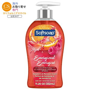 �\�t�g�\�[�v �t�̃n���h�\�[�v ���Y�x���[���}���_�����̍��� 332ml Softsoap Energized Liquid Hand Soap, Raspberry and Mandarin Scent, 11.25 fl oz Pump Bottle �y�����񂹏��i�z