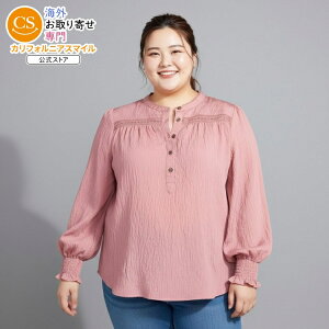 �y�E�H���}�[�g�u�����h�z�^�C���A���h�g�D���[ ���f�B�[�X ���[�X���[�N �����V���c �N�G�C���g���[�Y XXL�i2XL�j�T�C�Y Time and Tru Women's Lace Yoke Shirt with Long Sleeves Quaint RoseSizes XXL �y������