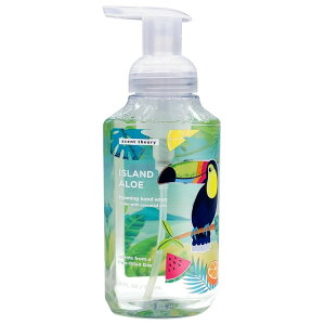 【アメリカウォルマート品】セントセオリー フォーミングハンドソープ アイランドアロエ 325ml Scent Theory Foaming Hand Soap, Island Aloe, 11 fl oz 【お取り寄せ商品】