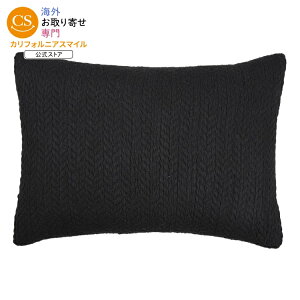 �y�E�H���}�[�g�u�����h�z�x�^�[�z�[���Y���K�[�f���Y ��46×33cm ���t�B�A�� �u���b�N �f�R���[�V�����N�b�V���� �I�[���V�[�Y���Ή� Better Homes & Gardens 18inch x 13inch Stylish Raffia Black Decorative Pil