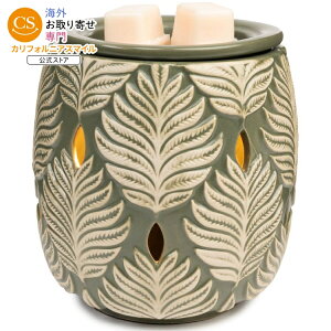 �y����|�C���gUP��1��-11��10���z�x�^�[�z�[���Y���K�[�f���Y ���[�t�e�N�X�`���[ ���b�N�X�E�H�[�}�[ Better Homes & Gardens Fern Textured Leaf Wax Warmer �y�����񂹏��i�z