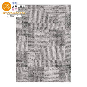 �y�E�H���}�[�gPB�z�x�^�[�z�[���Y���K�[�f���Y �W�I���g���b�N�n�C���[���O ��152×213cm �O���[ Better Homes & Gardens Grey Linear Square Geo High-Low Indoor Area Rug, 5' x 7' �y�����񂹏��i�z