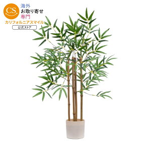 ���C���X�e�C�Y �l�H�o���u�[�c���[ ��76cm �o�j���J���[�� Mainstays 30inchH Artificial Indoor Bamboo Tree in Plastic Vanilla Planter �y�����񂹏��i�z