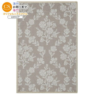�}�C�e�L�T�X�n�E�X �􂦂郉�O �_�}�X�N�� ��61×91cm �g�[�v My Texas House Taupe Flower Damask Machine Washable Indoor Area Rug, 2' x 3' �y�����񂹏��i�z