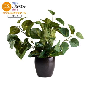 �y�E�H���}�[�g�u�����h�z�x�^�[�z�[���Y���K�[�f���Y �f�B�t�F���o�L�A �l�H�ϗt�A�� �Z���~�b�N�v�����^�[ �_�[�N�u���E�� ��30cm Better Homes & Gardens Artificial Dieffenbachia in Dark Brown Ceramic Plant