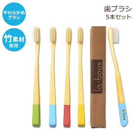 【バンブー歯ブラシ】ラブース バンブー 歯ブラシ 大人用 ソフト エコ 5本セット LaBoos Best Nature Manual Color Bamboo Toothbrush