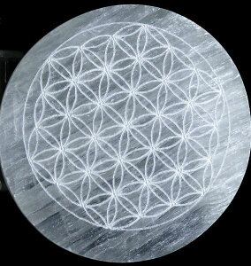 ZiCg iGiW[v[gj t[IuCt ỉԁj 80mm@@VR p[Xg[  yN[|Ώہzy39Vbvz