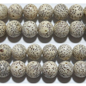  12mm B@@ r[Y 1 o 1ʔ̔ yN[|Ώہzy39Vbvz