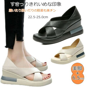  T_ fB[X X|[cT_ IV ItBX ₷ _炩 y r 6.5cm Xb| EH[LO Ȃ ~ 22.5-25c lC 