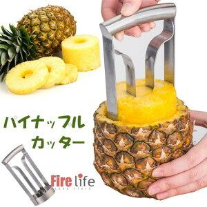 pCibvJb^[ XeX pCibvXCT[ ނ ʕ 甍@ ֗Lb`pi H  ي ̑ iCt 