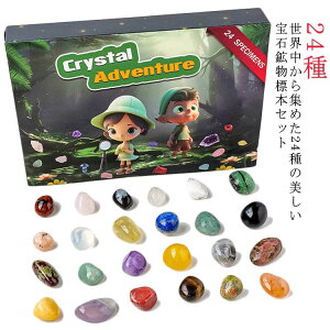  zΕW{24 NX}X VRz E̐΃RNV v[g  nȊwLbg WFXg[ 24Zbg ΕW{ ~l Ahx AWXg RNV