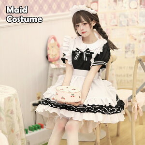 Ch s[X Gv J`[V Ch fB[X s 킢 RXv V[g 