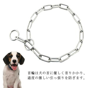 `F[ xWA }mA   XeX 2{Zbg Pp  p P pi ^ ȒP bgC[ S[fgo[ ^