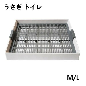  gC 傫 XmR P[Wɓ M L lp` bVXmRt `` ETMS tbggC [ gnX^[ fO[ gCg[jO g[ bg