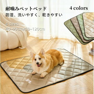 2025V ϊ݃ybgxbh L  xbh }bg NbV ybgxbh xbh Lxbh ^ ϊ ې􂦂 h ybgxbh~ ybgpi   H ėp t