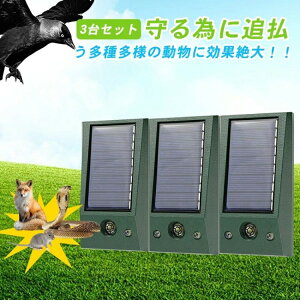 L悯 g 3Zbg 悯 ފ 悯 ˂悯 L L ފ L \[[[d  ԏ ObY Qb ɓ Q