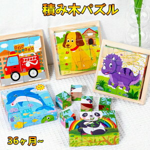 ؂̂ 3D̃pY mߋ L[u ubN ؐpY q  蕨Cm `킹 j̎q ̎q eb\[ 3 4 5 xr[ Ԃ 6