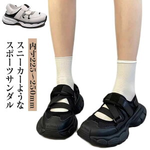 fB[X JWA Xj[J[T_ r RtH[gT_ Xj[J[ L X|[cT_   T_ ₷ r[`T_ PUU[ X|T