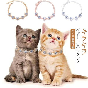 p `[J[ 킢 I L p`[J[ U  `[J[ lbNX sJsJ ANZT[  Lp ^ ^ NX^ Lp LL  p[