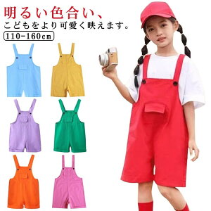 Jt pc LbY ėp _X Tybg j̎q    WjA ߑ qbv zbv J[pc ̎q V[gpc _Xߑ WY HI K[Y \