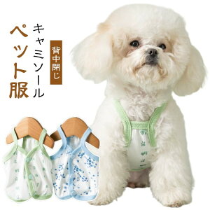 ĕ t L wJL~\[ wJ   ybg ⊴ N[  ₷ ̕ L̕ Lp  p o w m hbOEFA  TT 