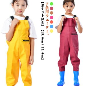 y Cpc  `FXgnCEF[_[ EF[_[ CEGA h j̎q tC qp Ct ̎q C u[ct V ނ V [|Pbgt 