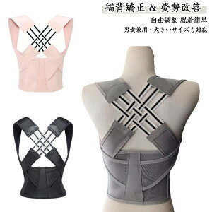 q Lw xg  v[g Ci[ pT|[^[ ڗȂ  LwT|[^[ pxg eɂȂ  傫TCY  w؃T|[^[ pP 