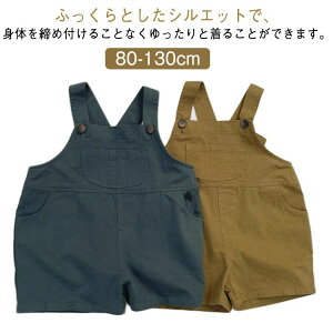 q q H V[gpc n[tpc Y{ I[o[I[ t  xr[ j̎q Tybg Vv ̎q  LbY  {gX n |Pbgt