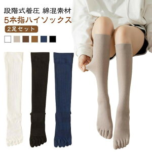  ₦Ƃ 5{w nC\bNX fB[X Y  t VFCv\bNX C g  d˗ hL X|[c n Jt nC\b ߕt jp H~