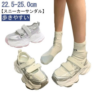 ₷ bV fB[X Xj[J[ y T_  X|[cT_ L Xj[J[T_ RtH[gT_ ɂ ʋC  xN Ȃ