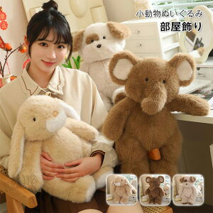 Aj}ʂ  ʂ  ETM    킢  q qǂ ӂӂ oYj a v[g Mtg 蕨 40cm