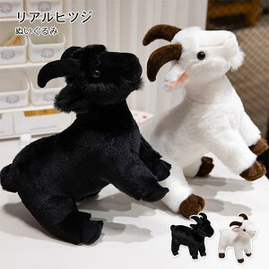 ʂ r Ђ   sheep V[vʂ  qcŴʂ CeA  q  Aj} ӂӂŖ _炩 Sn v[g NX