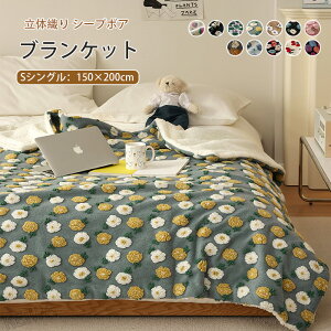 ѕz {A uPbg V[v{A |ѕz VO 150×200cm  {A  Q  \t@Jo[ h g ₦΍   􂦂 CeA k Q 