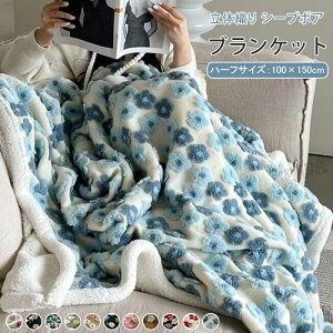 uPbg ѕz  {AuPbg {A Ђ| G| 100×150cm  V[v  \t@Jo[ Q |ѕz n[tPbg h g ₦΍  